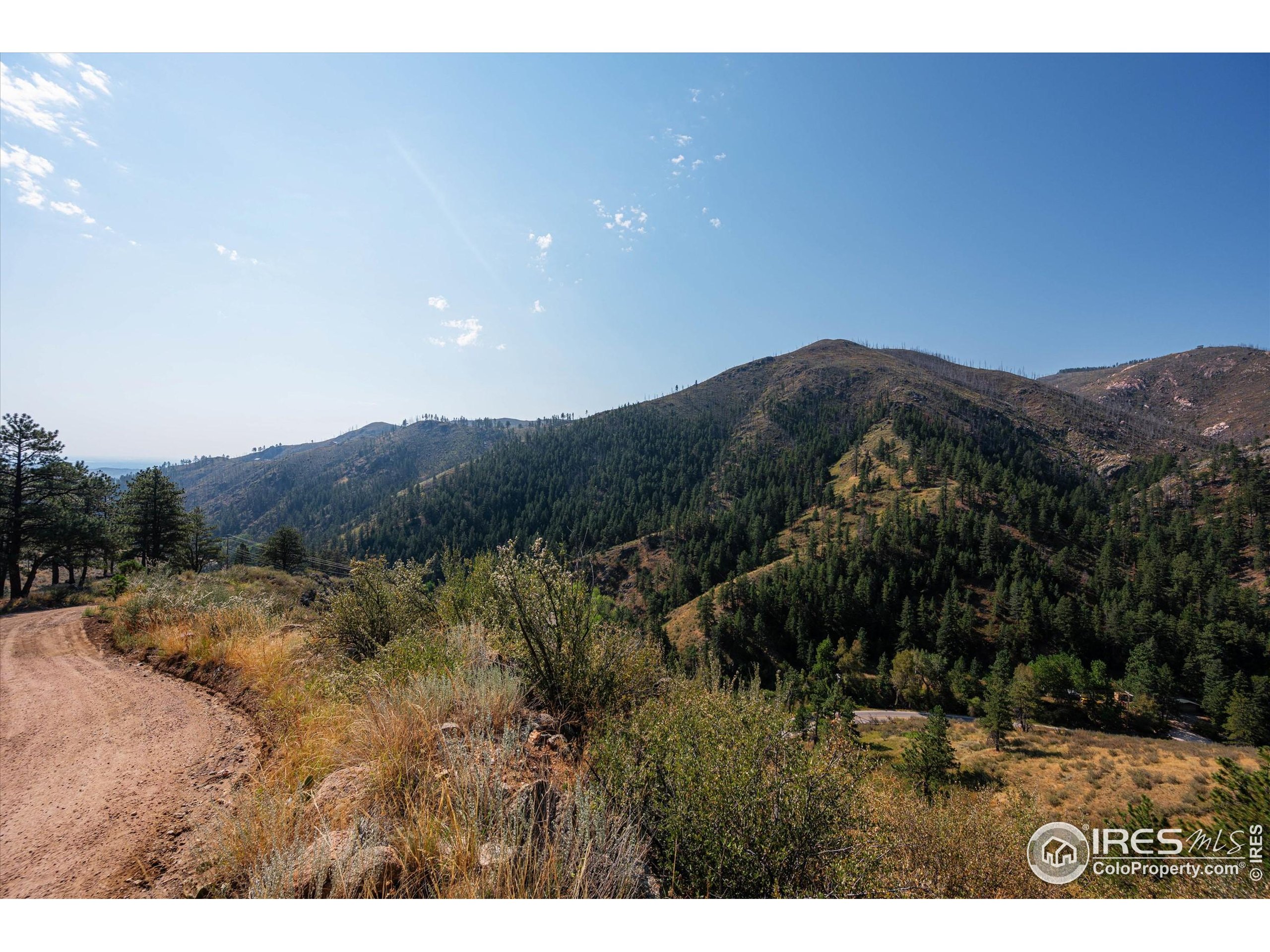 0 Pine Acres Way Bellvue, CO 80512 - Photo 22 of 29 a view of mountain and tree