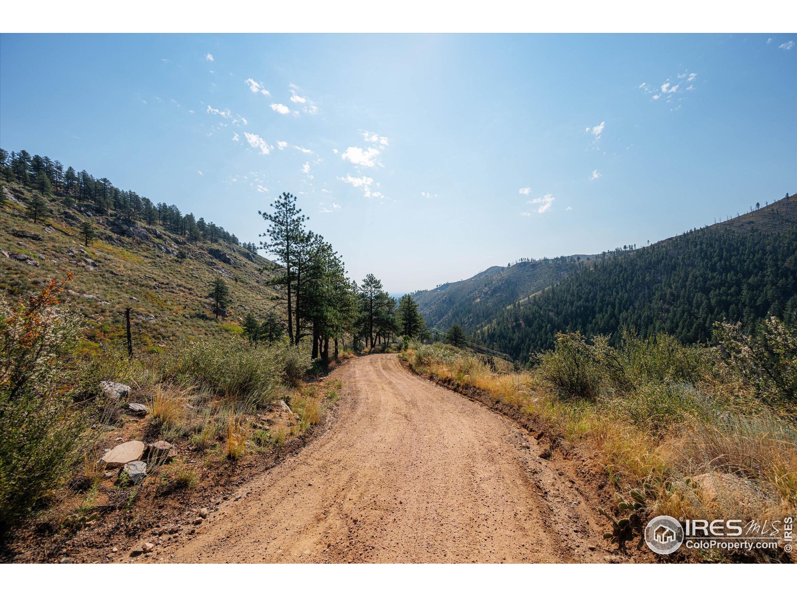 0 Pine Acres Way Bellvue, CO 80512 - Photo 23 of 29 a view of a dry yard