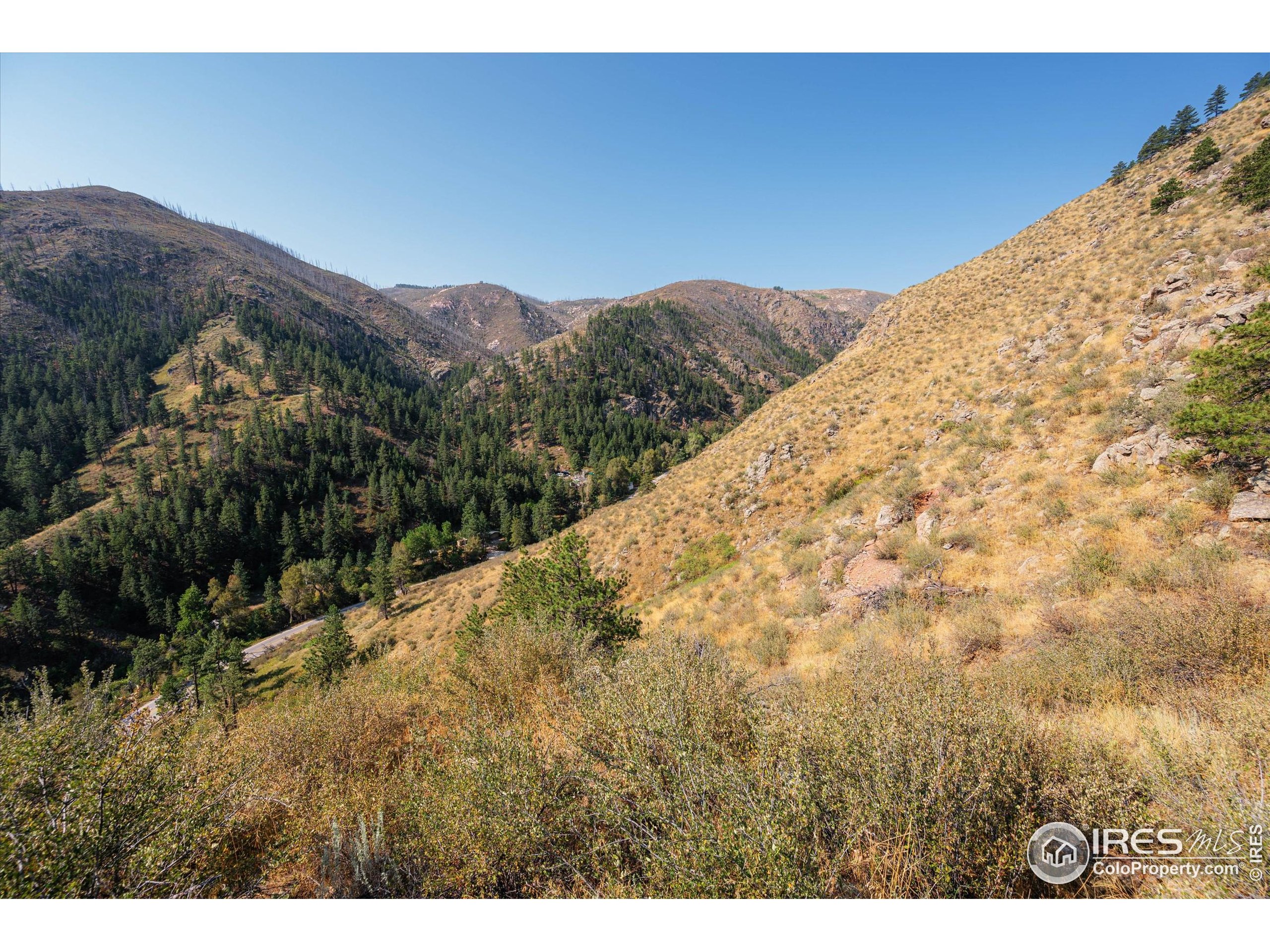 0 Pine Acres Way Bellvue, CO 80512 - Photo 25 of 29 a view of a dry yard