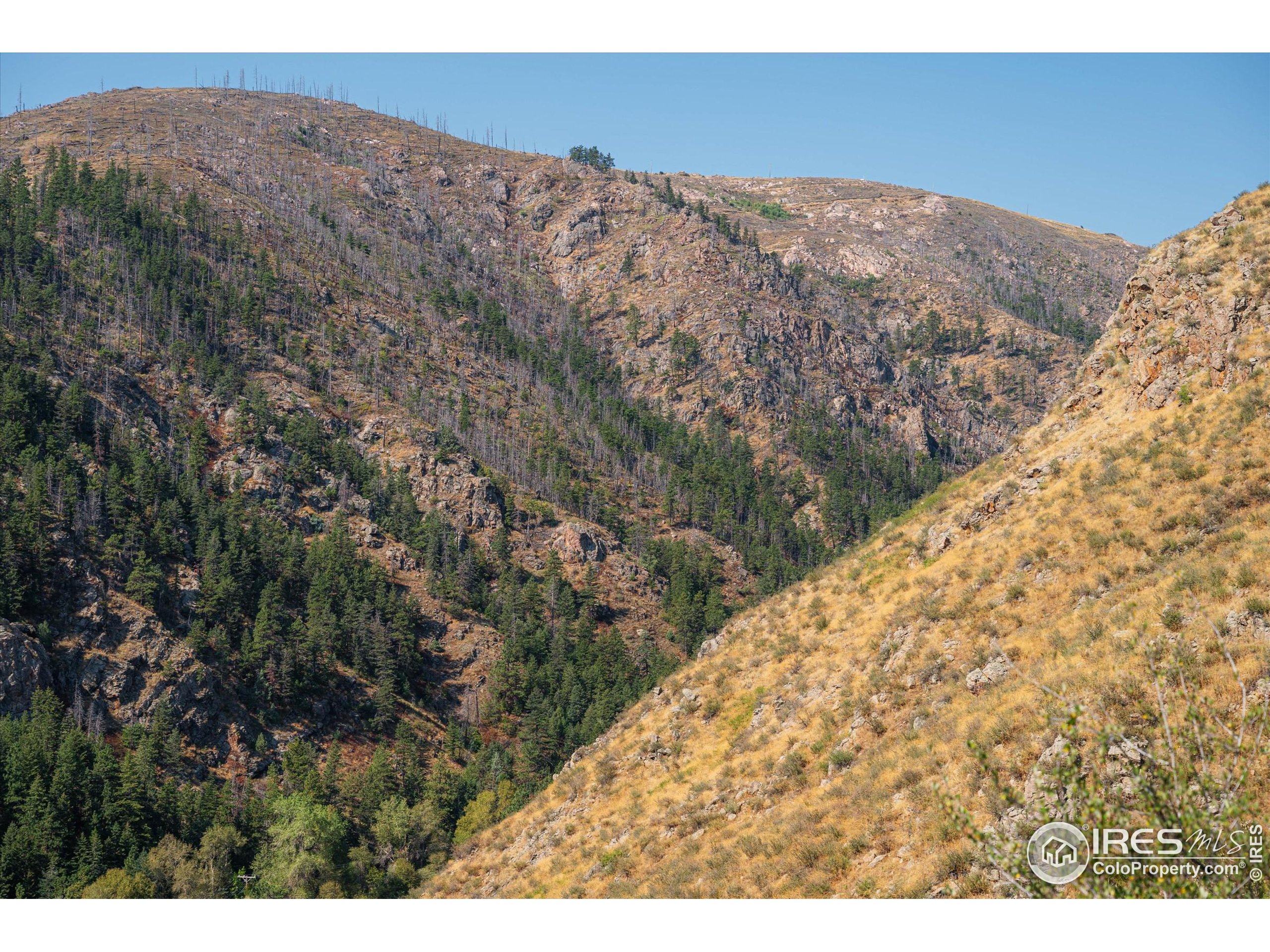 0 Pine Acres Way Bellvue, CO 80512 - Photo 27 of 29 a view of a dry yard