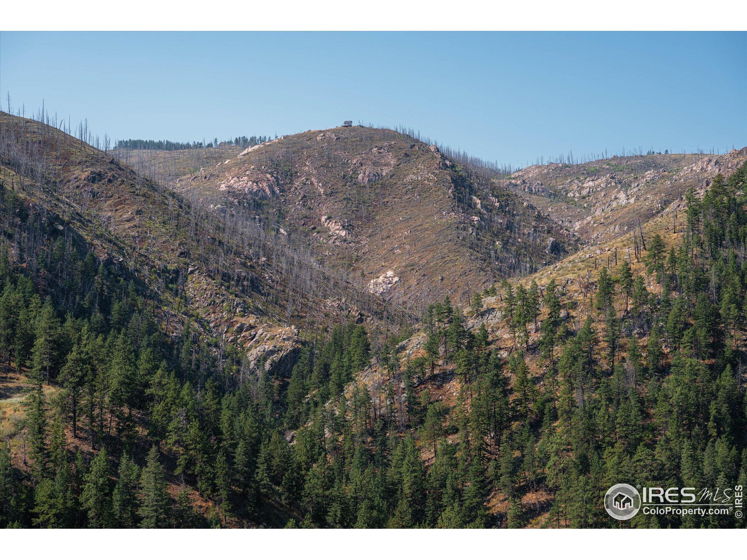 0 Pine Acres Way Bellvue, CO 80512 - Photo 28 of 29 a view of a dry yard
