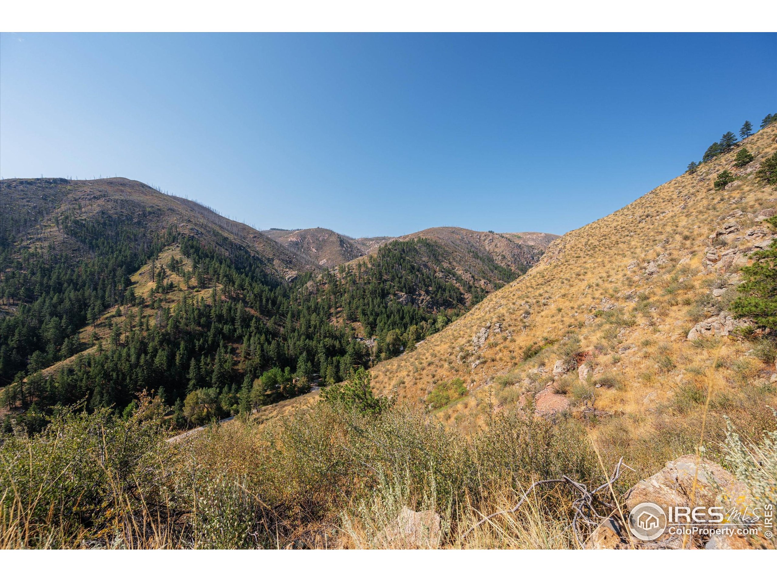 0 Pine Acres Way Bellvue, CO 80512 - Photo 5 of 29 a view of a dry yard