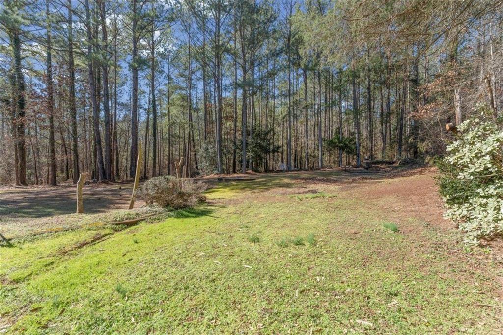 360 Chestnut Drive Covington, GA 30016 - Photo 43 of 55