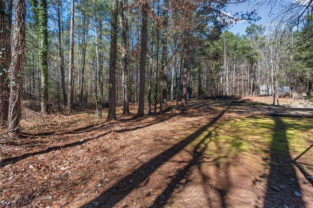 360 Chestnut Drive Covington, GA 30016 - Photo 44 of 55