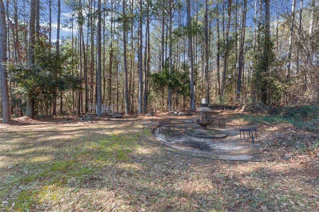 360 Chestnut Drive Covington, GA 30016 - Photo 45 of 55