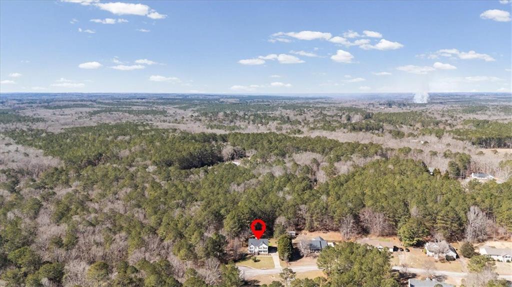 360 Chestnut Drive Covington, GA 30016 - Photo 50 of 55