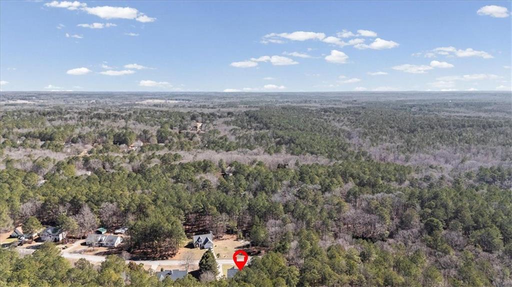 360 Chestnut Drive Covington, GA 30016 - Photo 51 of 55