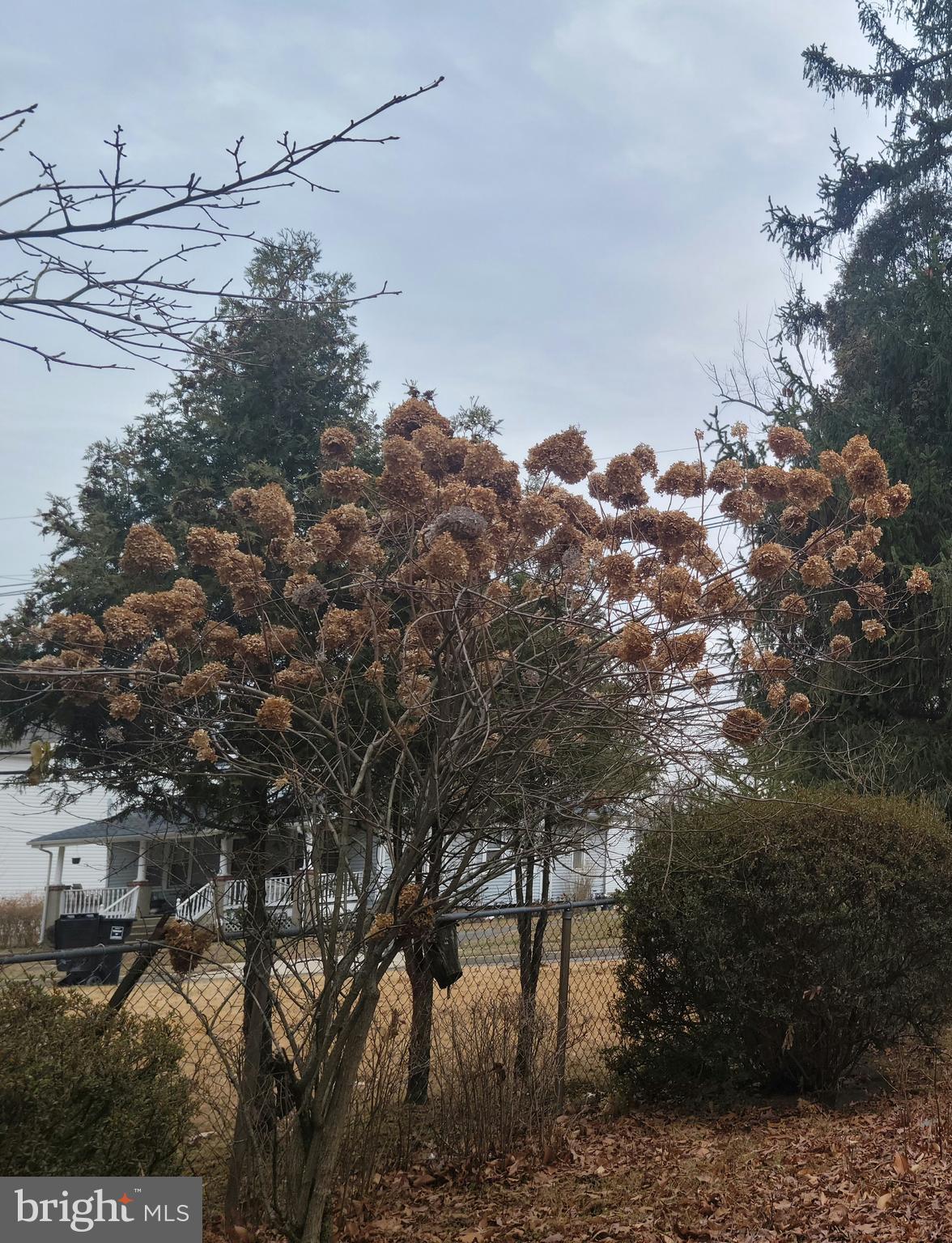370 Eggert Crossing Road Lawrenceville, NJ 08648 - Photo 2 of 11 a view of a city street