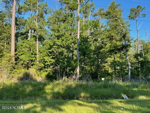 736 Marshallberg Road Marshallberg, NC 28553 - Photo 2 of 3 Beautiful trees offer privacy.