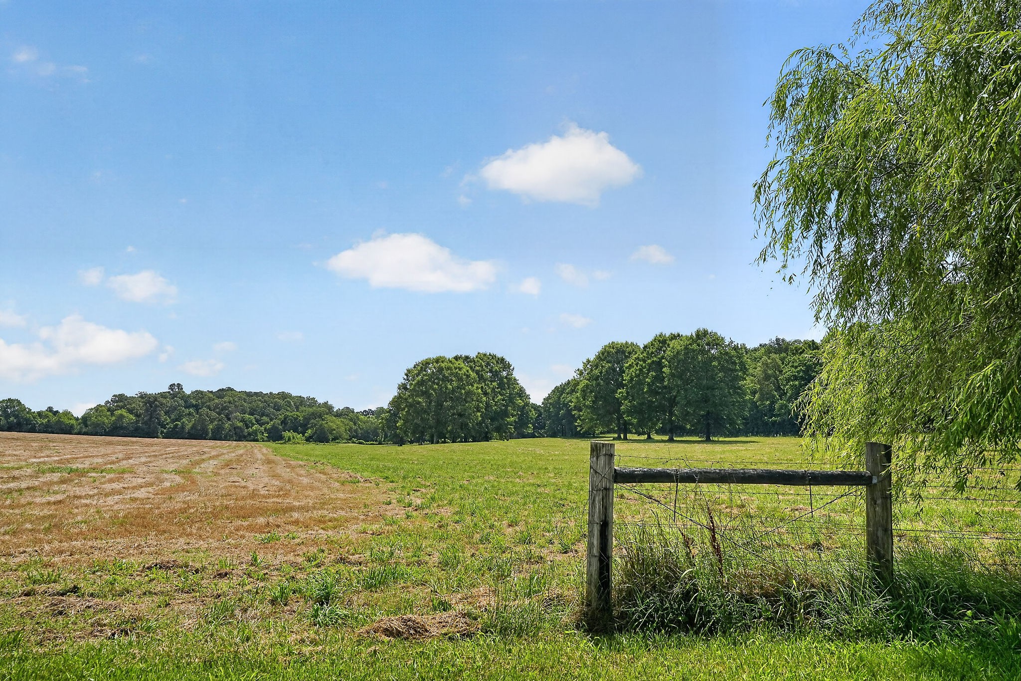 1600 Magness Road McMinnville, TN 37110 - Photo 39 of 63