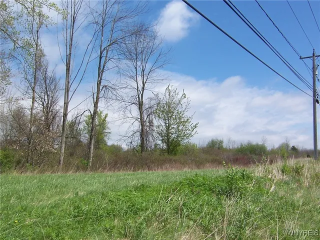 $850,000 | 0 Pearl & Wortendyke Road, Batavia, NY 14020