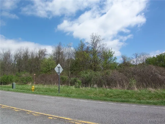 $850,000 | 0 Pearl & Wortendyke Road, Batavia, NY 14020