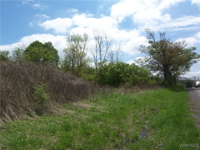 $850,000 | 0 Pearl & Wortendyke Road, Batavia, NY 14020