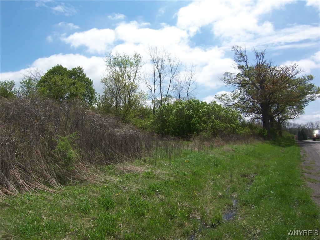 0 Pearl & Wortendyke Road Batavia, NY 14020 - Photo 4 of 14