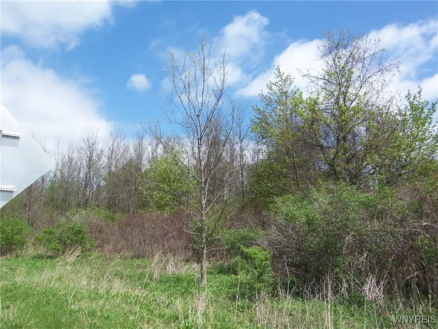 $850,000 | 0 Pearl & Wortendyke Road, Batavia, NY 14020