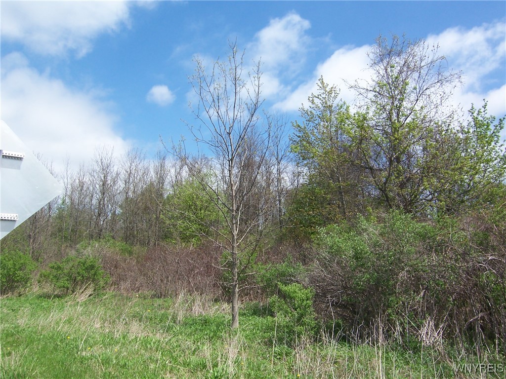 0 Pearl & Wortendyke Road Batavia, NY 14020 - Photo 6 of 14
