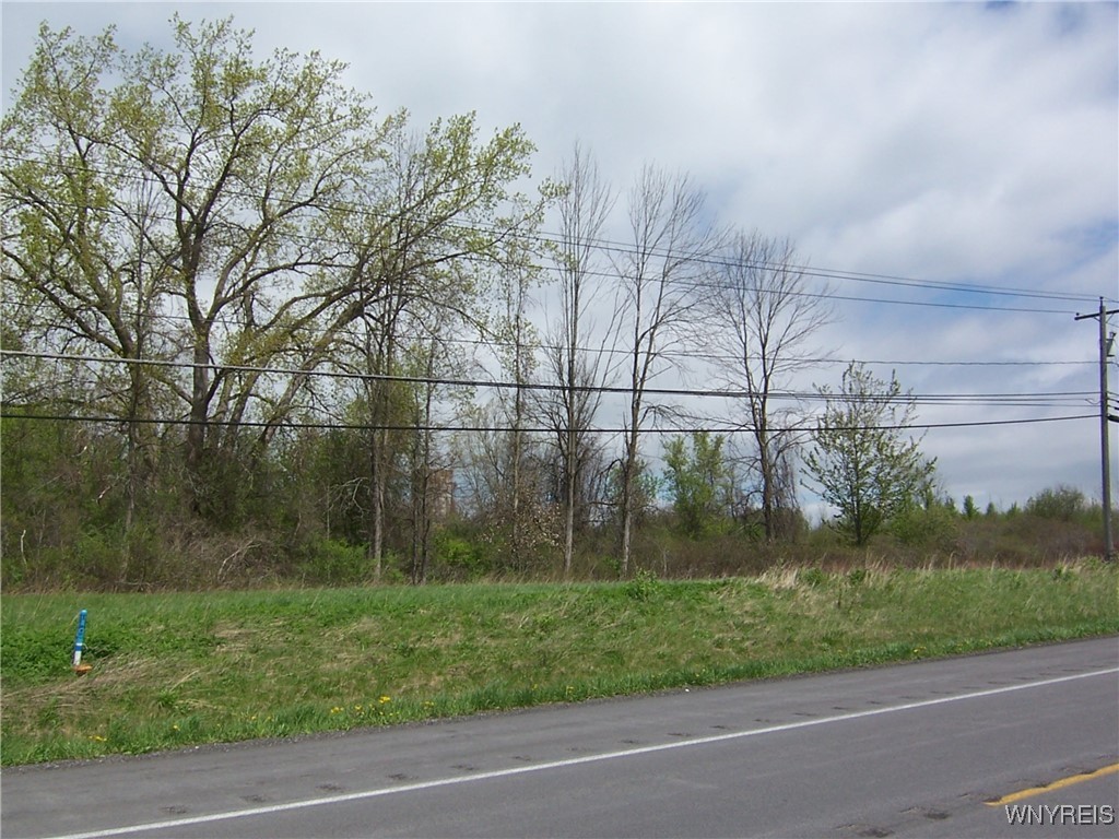 0 Pearl & Wortendyke Road Batavia, NY 14020 - Photo 7 of 14