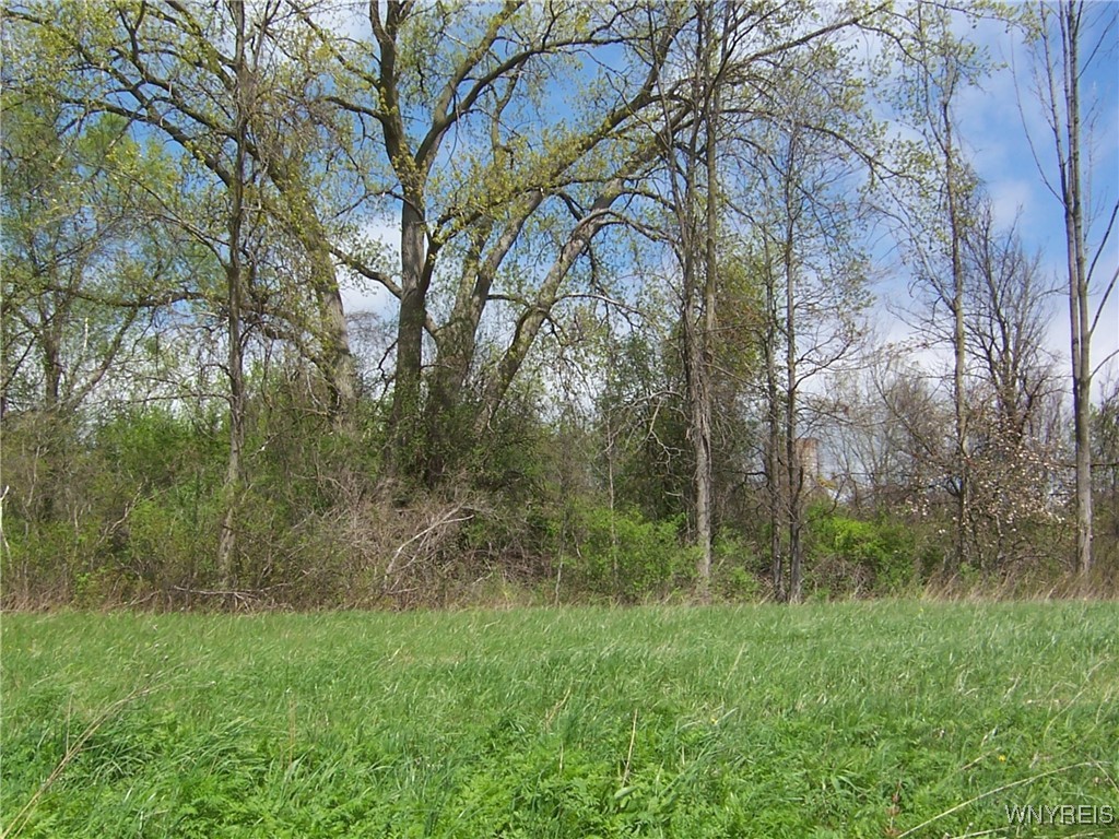 0 Pearl & Wortendyke Road Batavia, NY 14020 - Photo 10 of 14