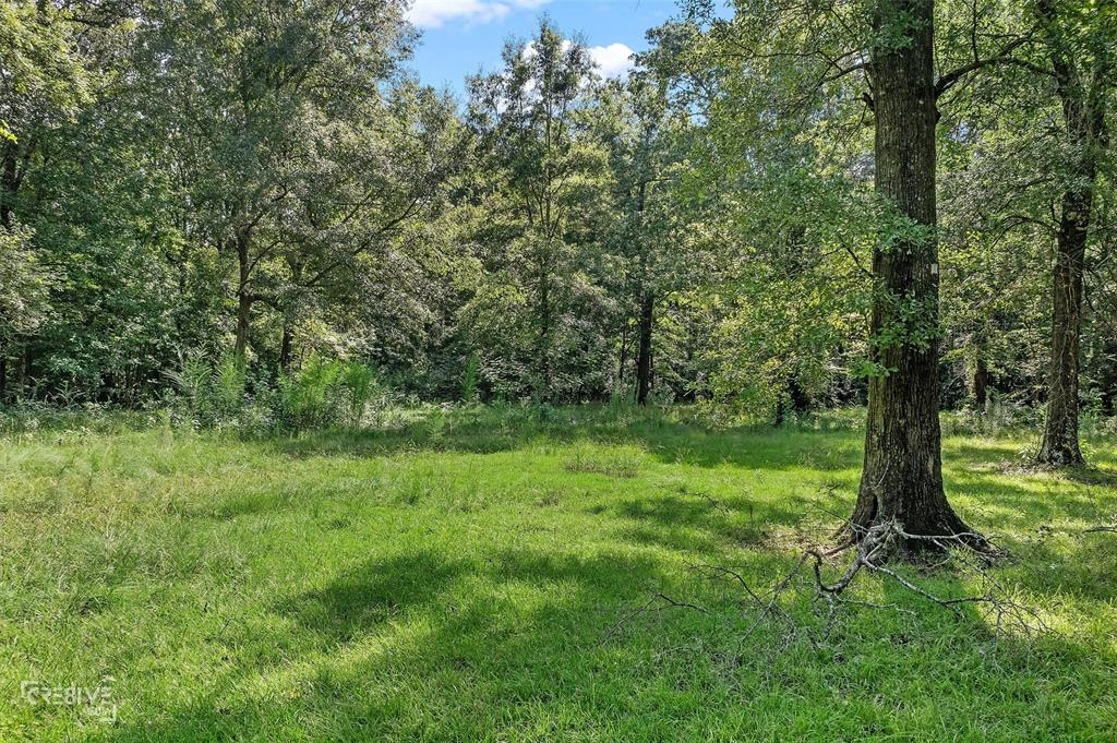 356 Cottage Grove Road Benton, LA 71006 - Photo 14 of 15 a view of outdoor space and yard