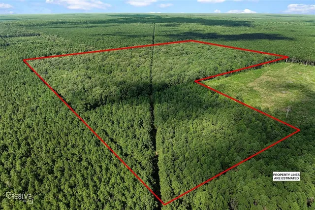 a view of a wooden bridge sitting in a yard with large trees
