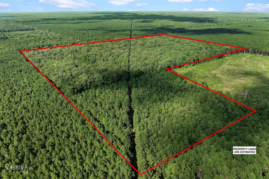 356 Cottage Grove Road Benton, LA 71006 - Photo 3 of 15 a view of a wooden bridge sitting in a yard with large trees