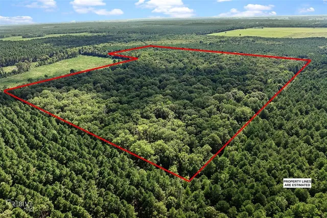 an aerial view of a houses with a yard