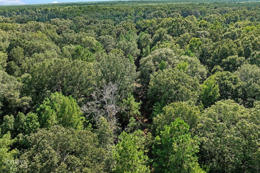 356 Cottage Grove Road Benton, LA 71006 - Photo 5 of 15 an aerial view of a houses with a yard