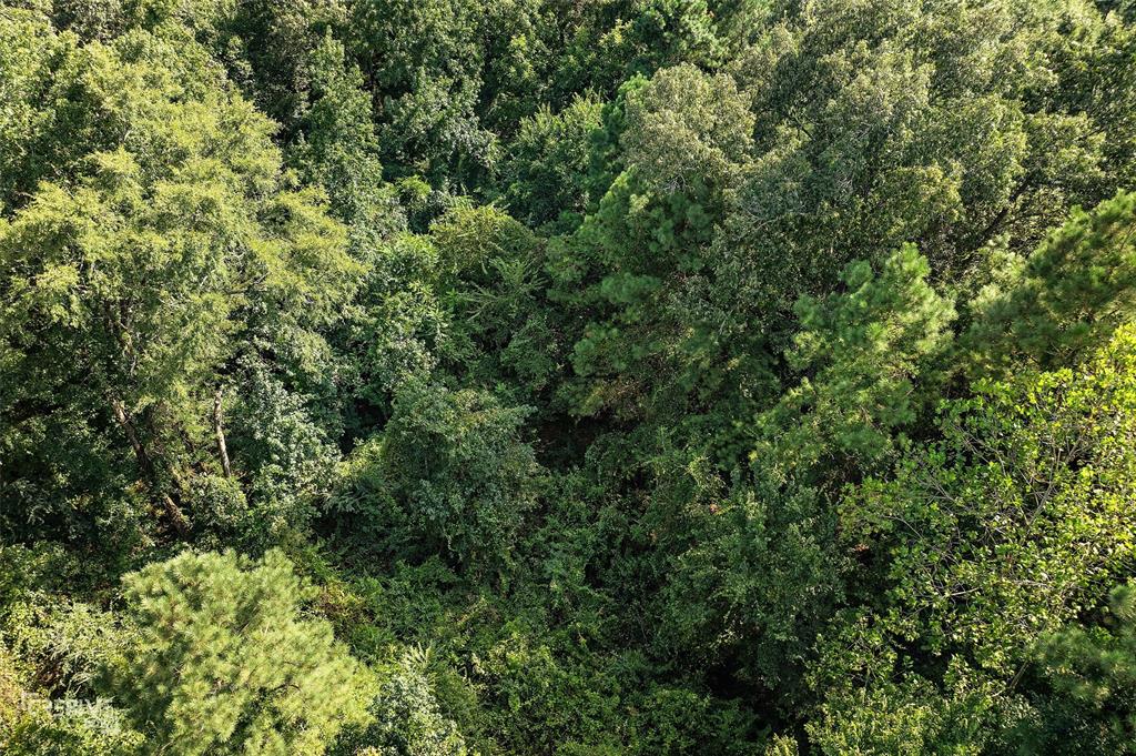356 Cottage Grove Road Benton, LA 71006 - Photo 6 of 15 an outdoor view of house with green space