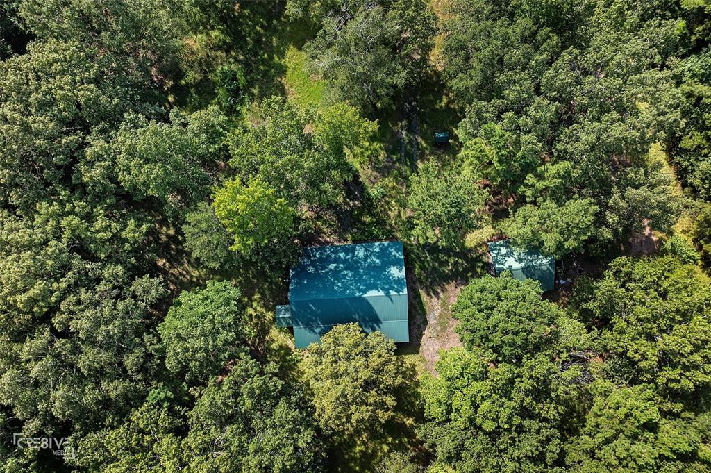 356 Cottage Grove Road Benton, LA 71006 - Photo 7 of 15 a plant view in yard