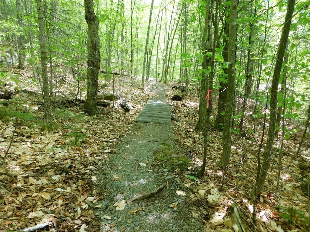 Pp41 East Road West Forks, ME 04985 - Photo 19 of 21 footpath is clearly marked with pink...