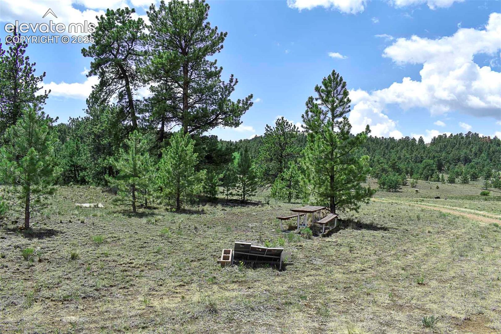 376 Copeland Road Guffey, CO 80820 - Photo 16 of 47