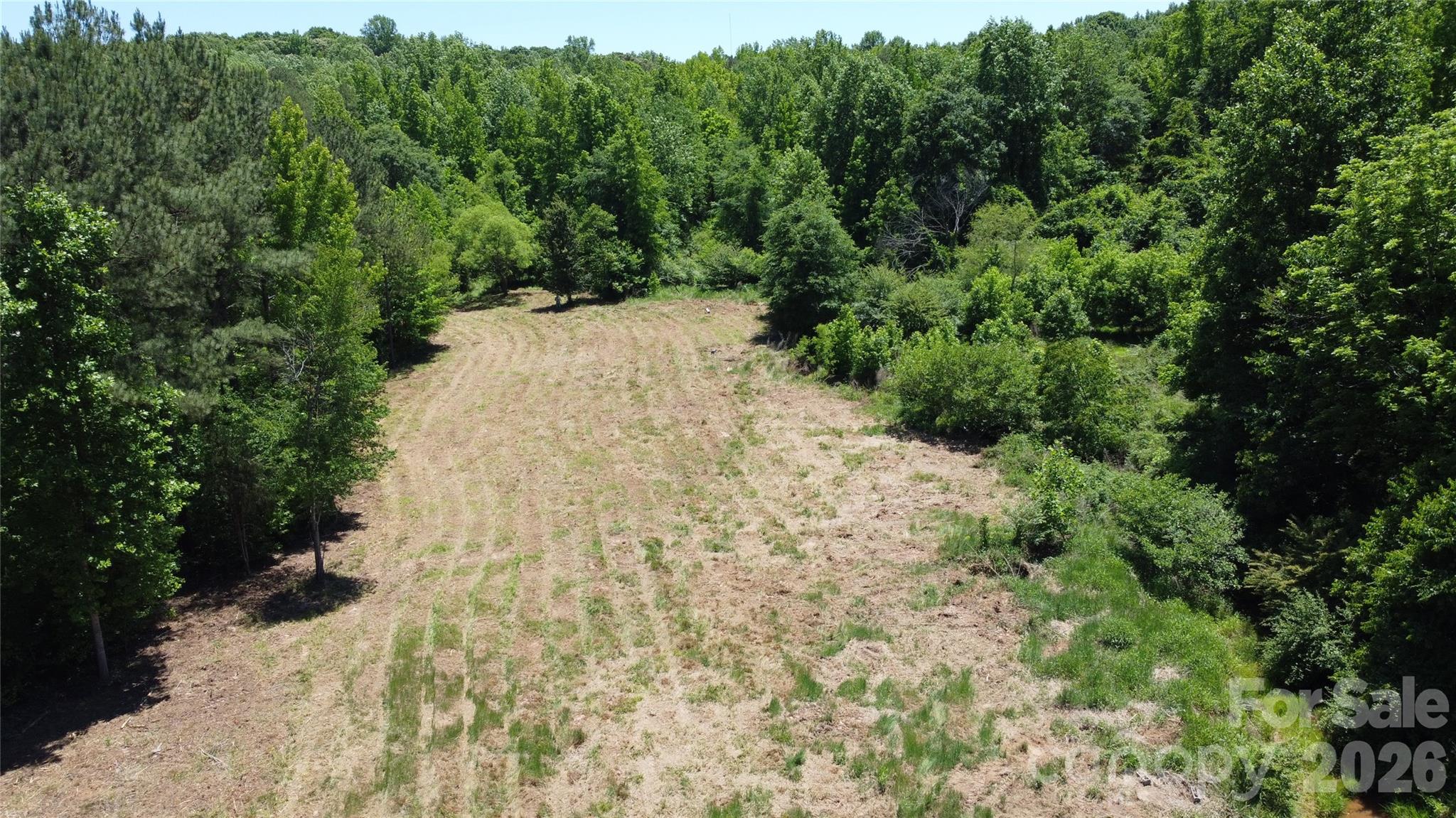 480 Brown Road Spartanburg, SC 29302 - Photo 16 of 47 a view of a yard with plants and large trees