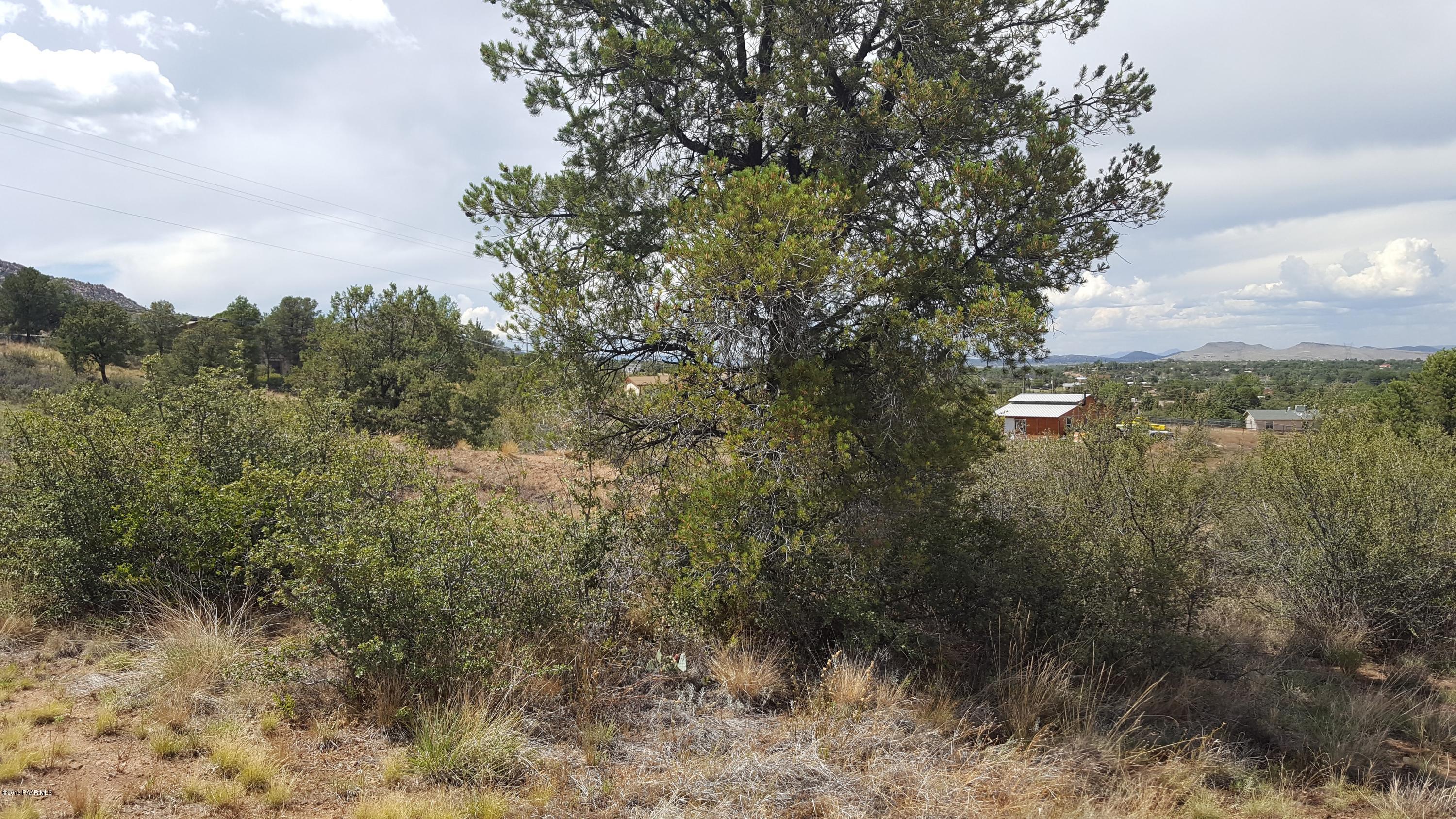 2350 West Bridle Path Road Prescott, AZ 86305 - Photo 7 of 13 Foilage