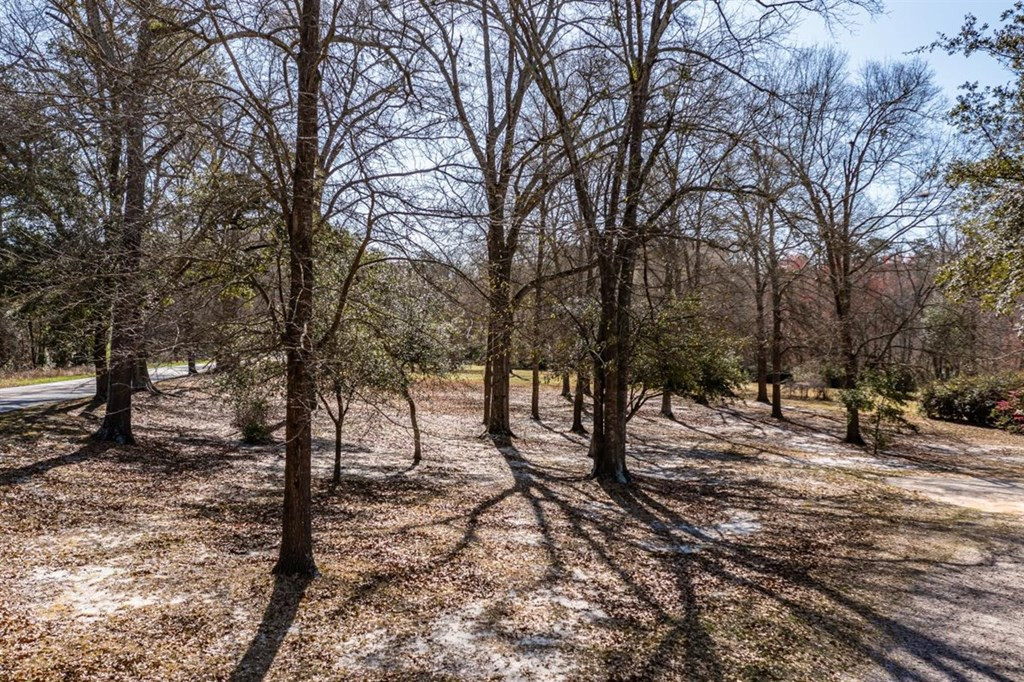 263 Greenville Road Warrenville, SC 29851 - Photo 35 of 42