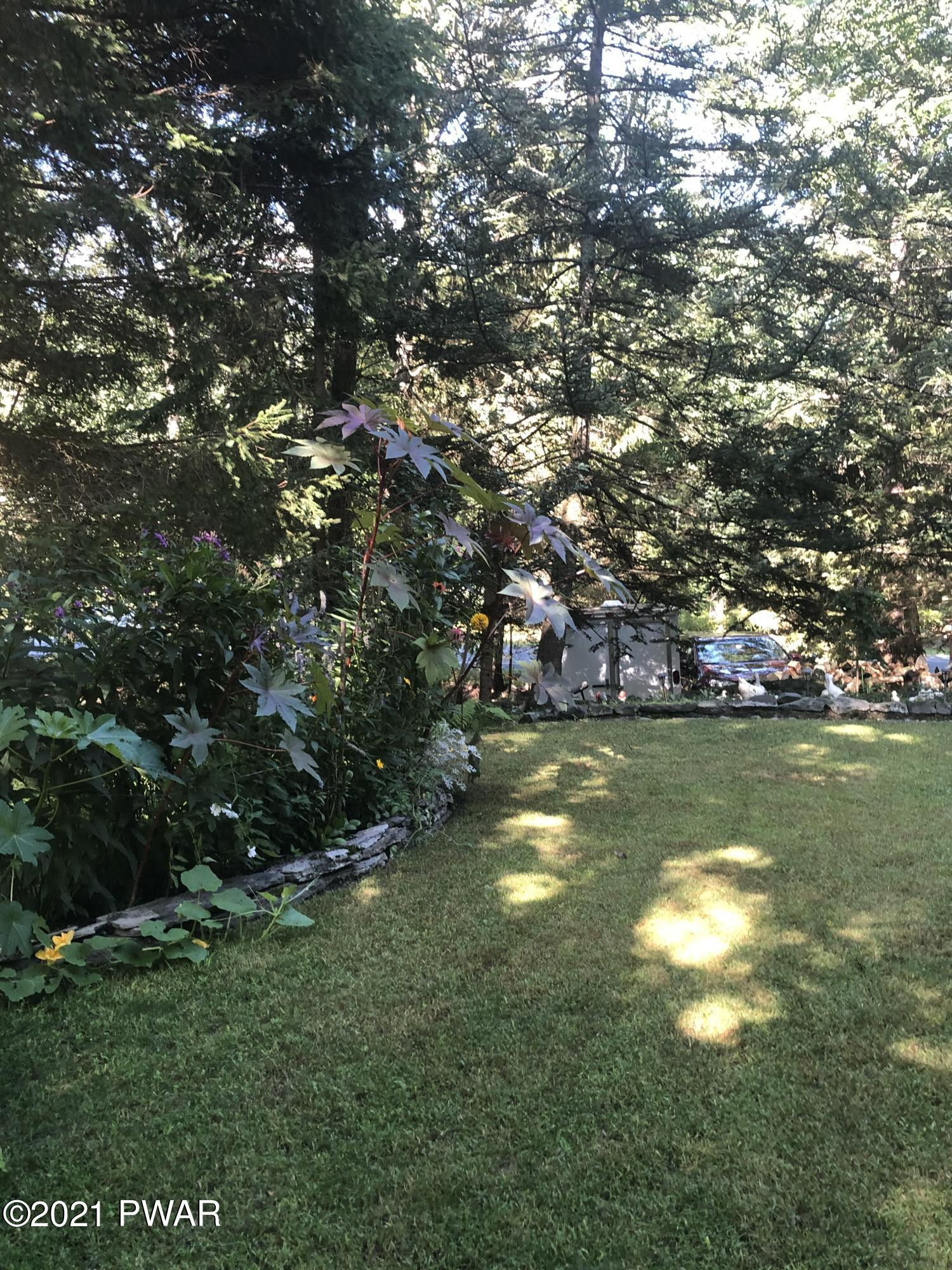 420 Maple Ridge Drive Hawley, PA 18428 - Photo 33 of 69 IMG_4909