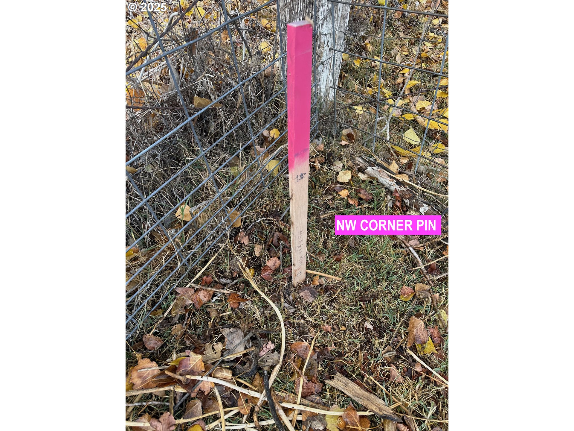 0 Cooney Lane Hermiston, OR 97838 - Photo 3 of 6