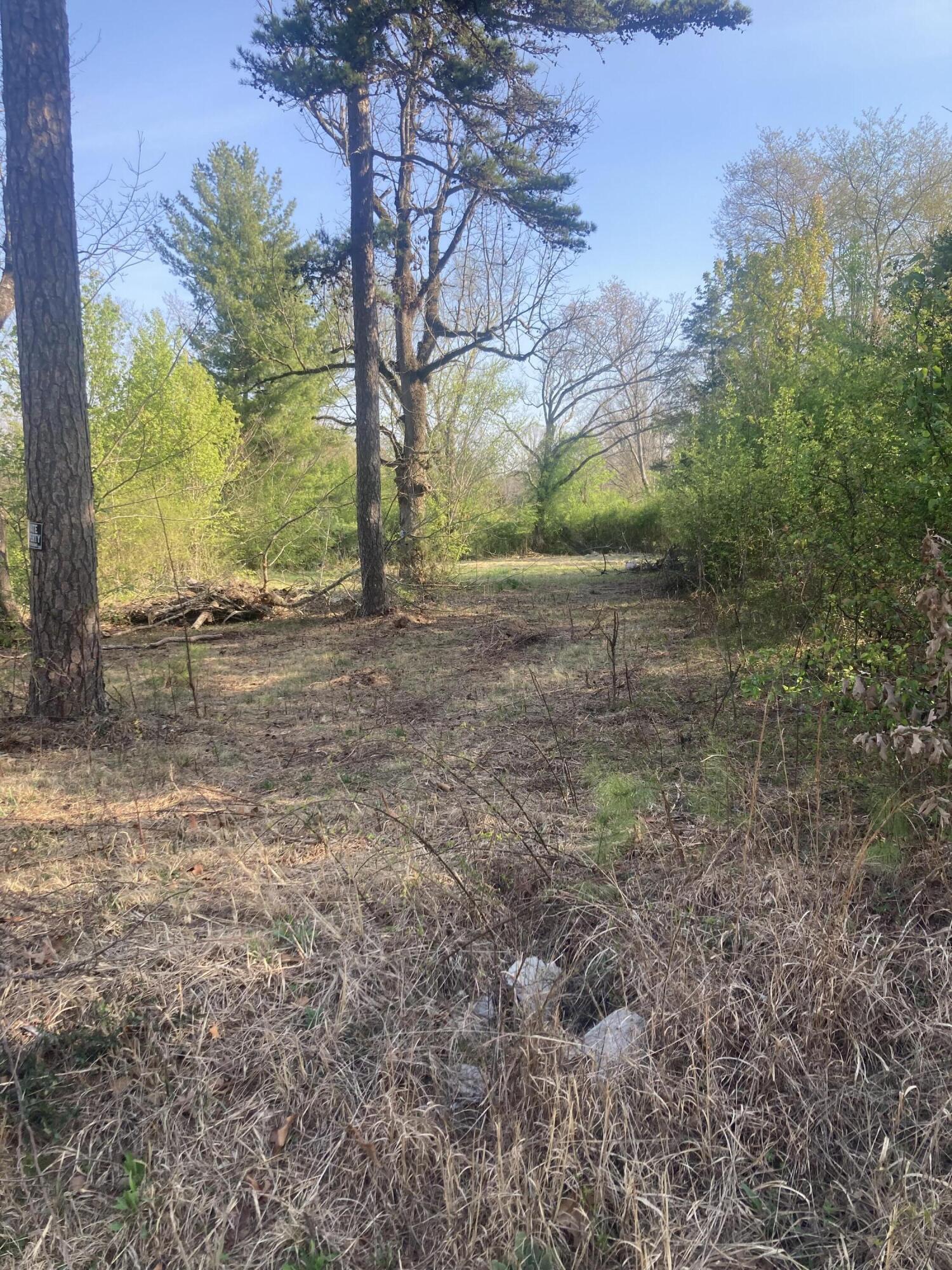 9305 Fuller Road Chattanooga, TN 37421 - Photo 4 of 13 4
