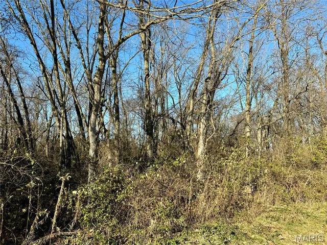 $99,900 | 5.74-ac 5.74-ac Highway, Jonesburg, MO 63351