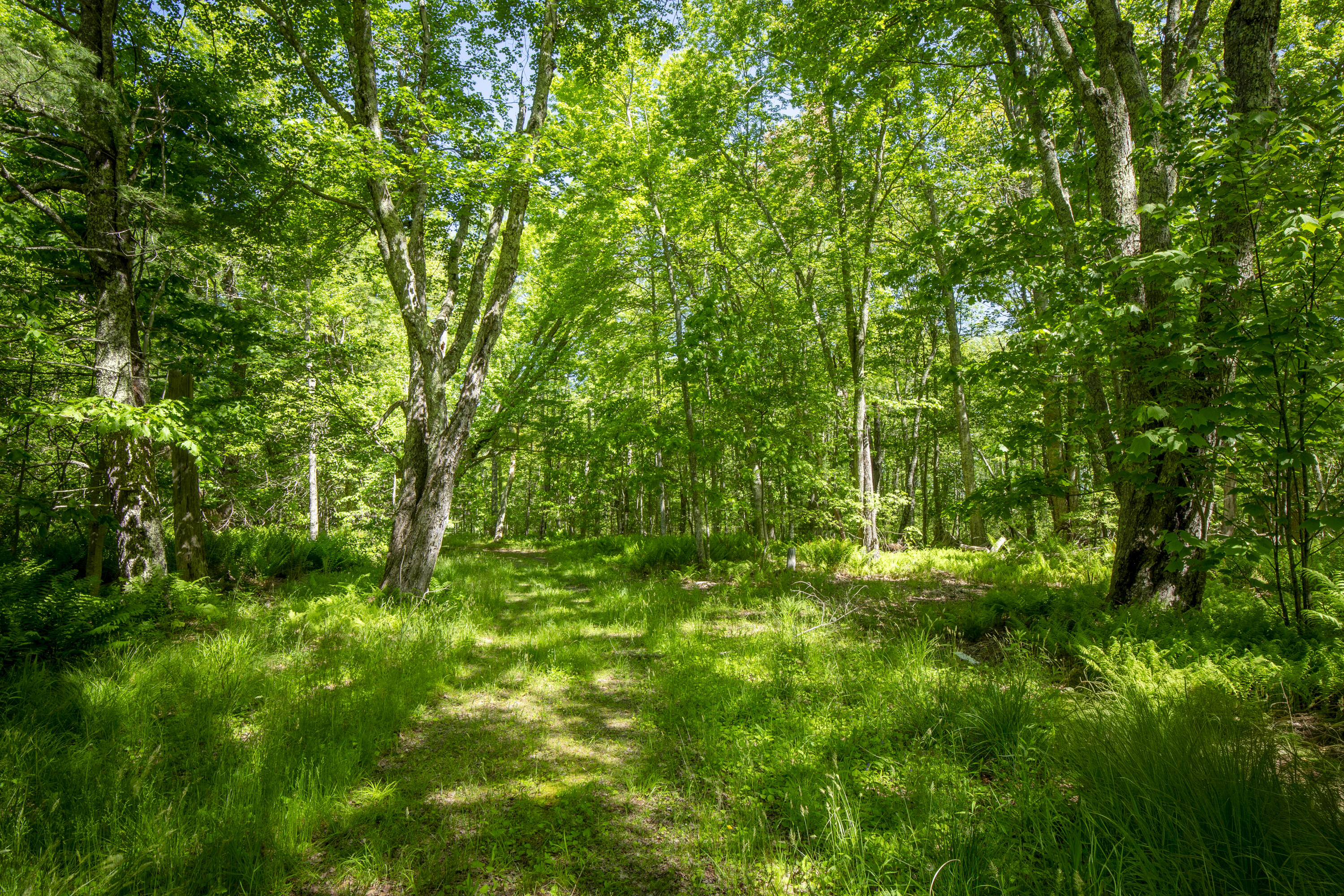 914 Union Road Appleton, ME 04862 - Photo 9 of 50 09-914UnionRd-Appleton-KS