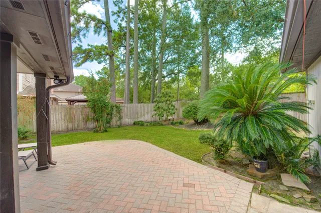 a view of a yard with plants and trees
