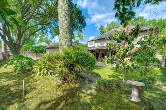a view of a yard with plants