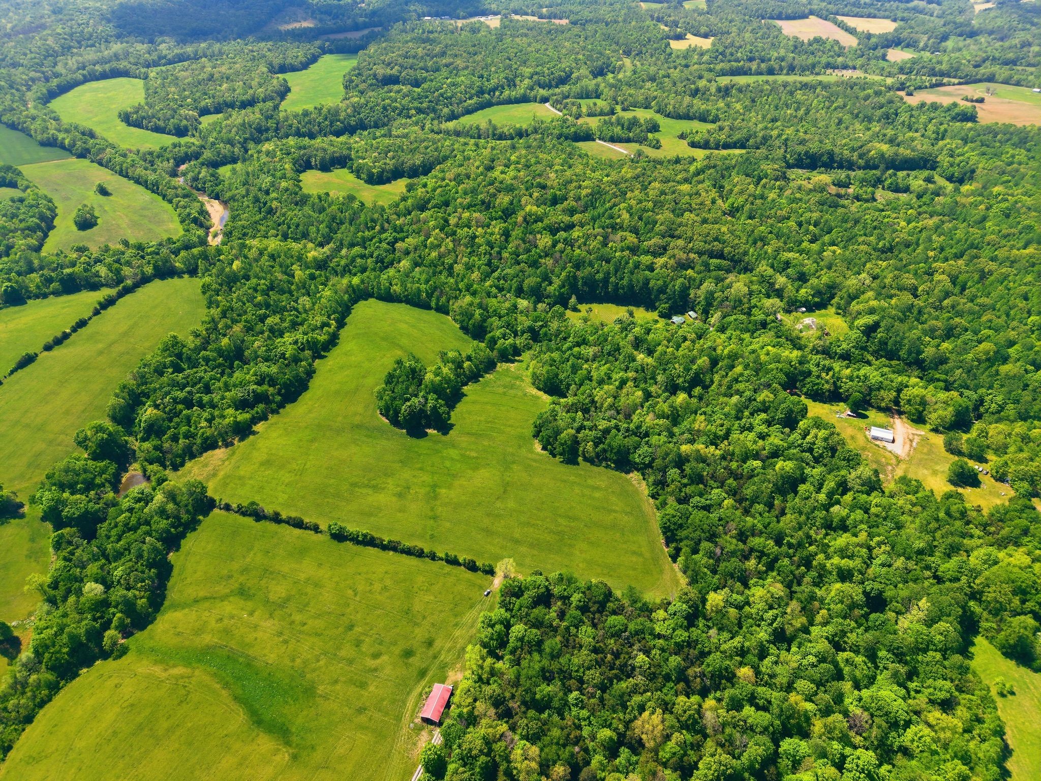 0 Freeman Loop Southside, TN 37171 - Photo 14 of 31