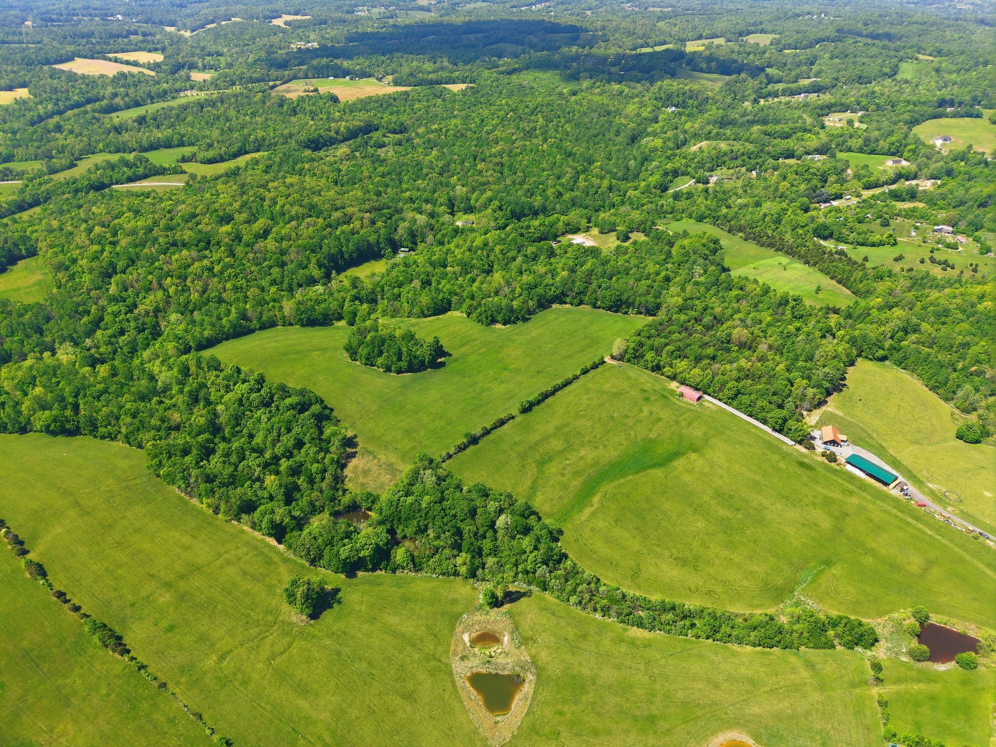 0 Freeman Loop Southside, TN 37171 - Photo 16 of 31