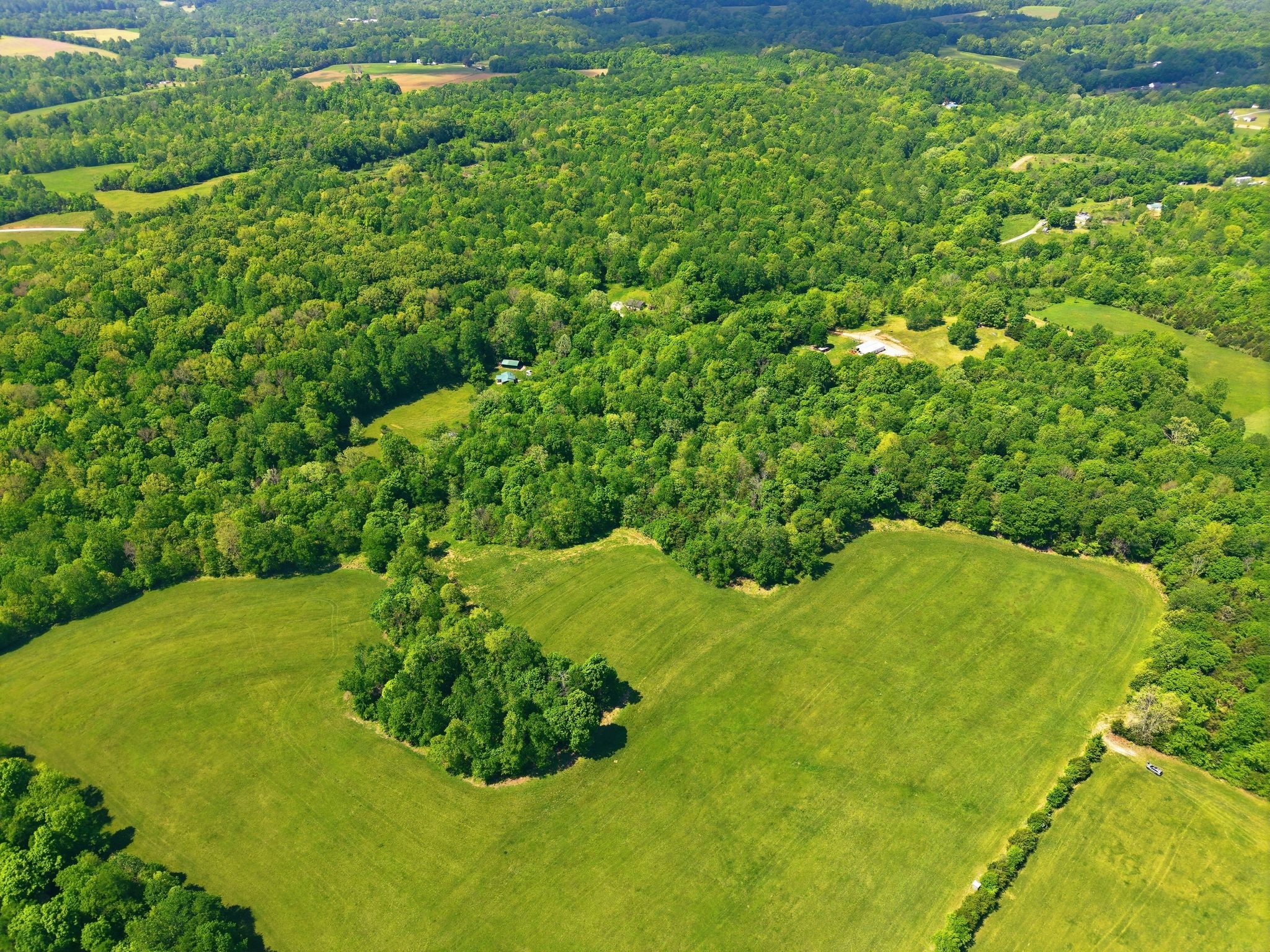 0 Freeman Loop Southside, TN 37171 - Photo 17 of 31