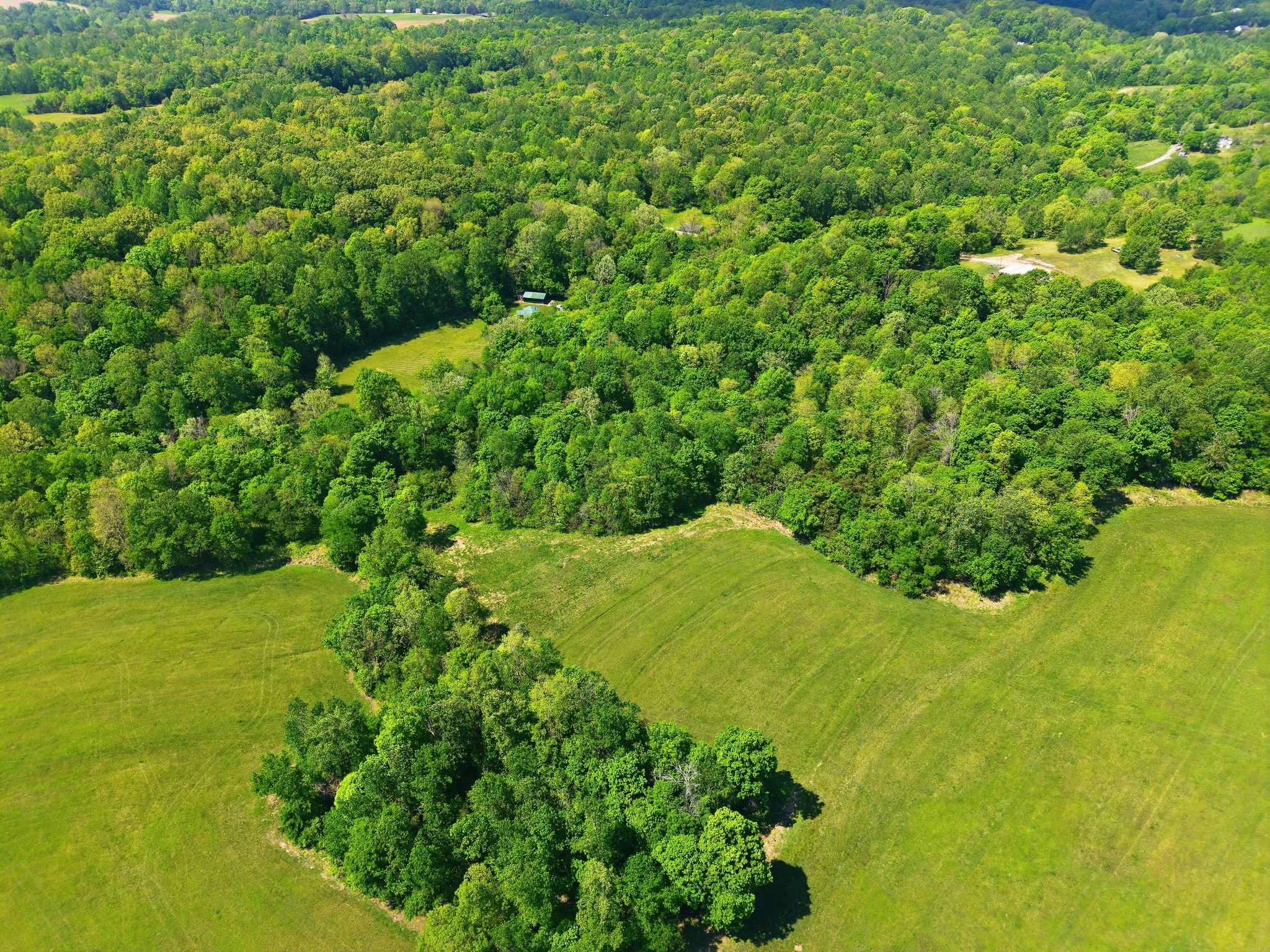 0 Freeman Loop Southside, TN 37171 - Photo 18 of 31