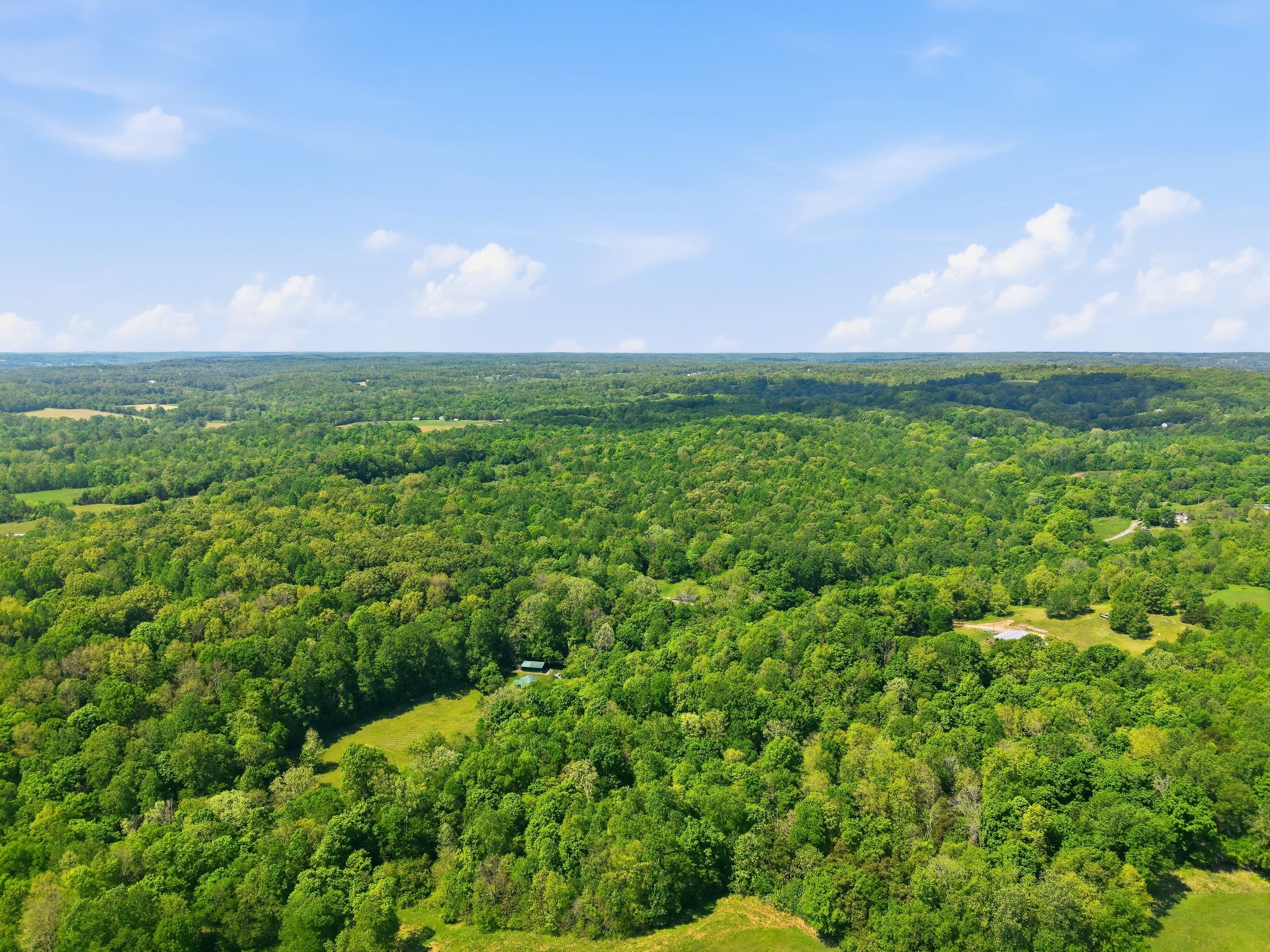 0 Freeman Loop Southside, TN 37171 - Photo 19 of 31
