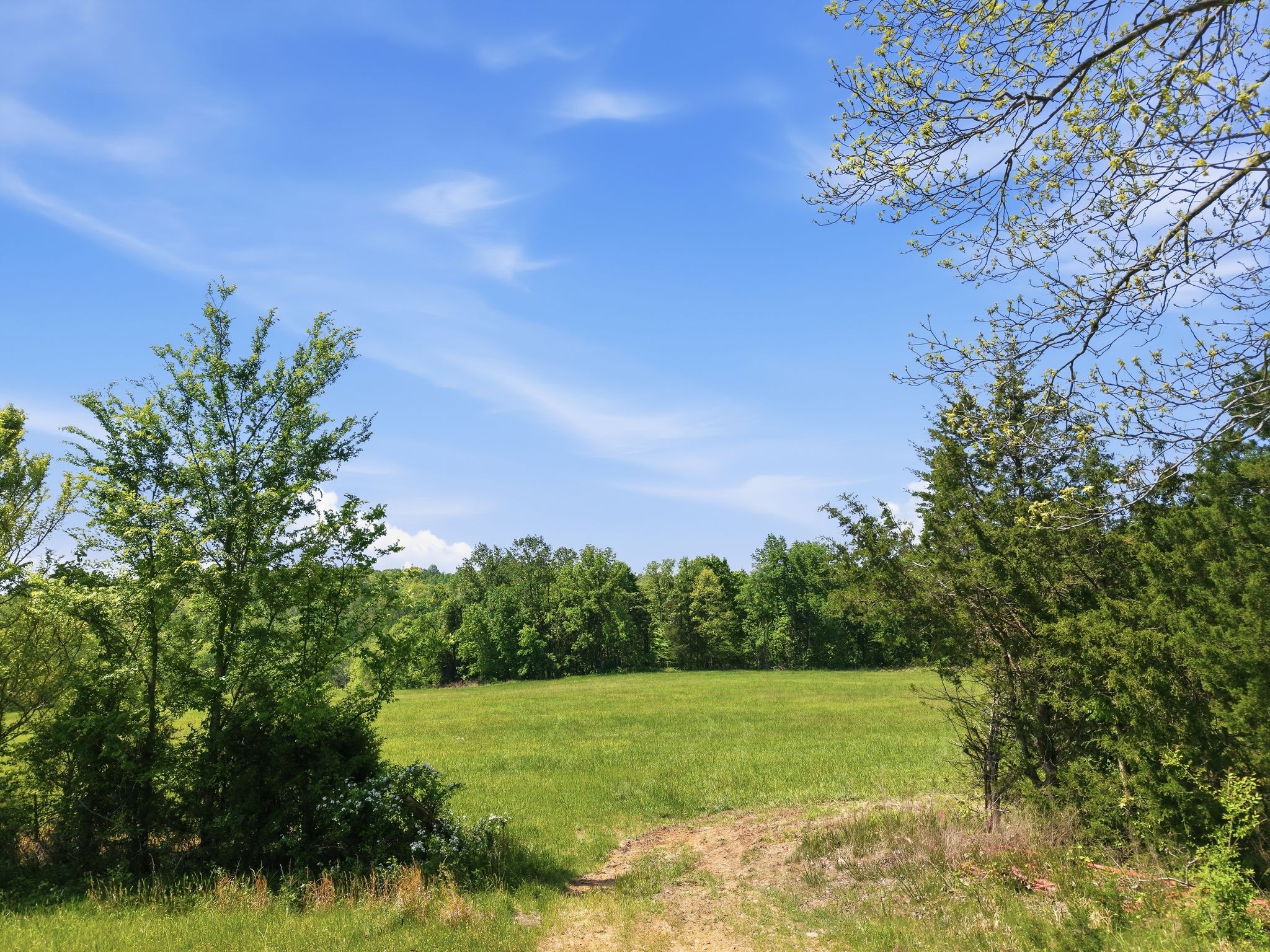 0 Freeman Loop Southside, TN 37171 - Photo 2 of 31