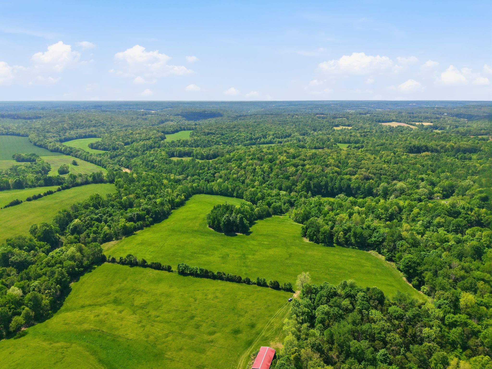 0 Freeman Loop Southside, TN 37171 - Photo 6 of 31