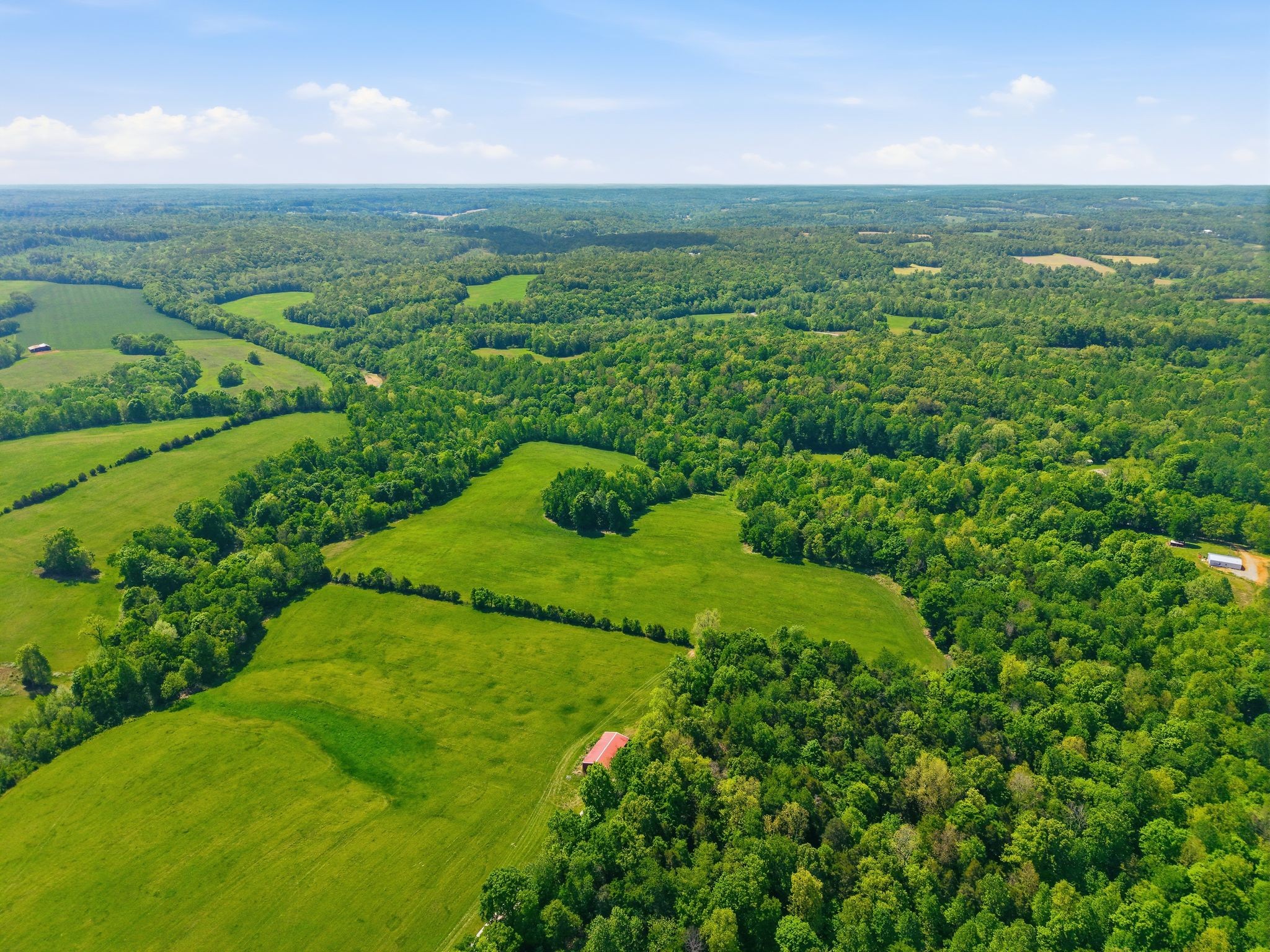 0 Freeman Loop Southside, TN 37171 - Photo 8 of 31