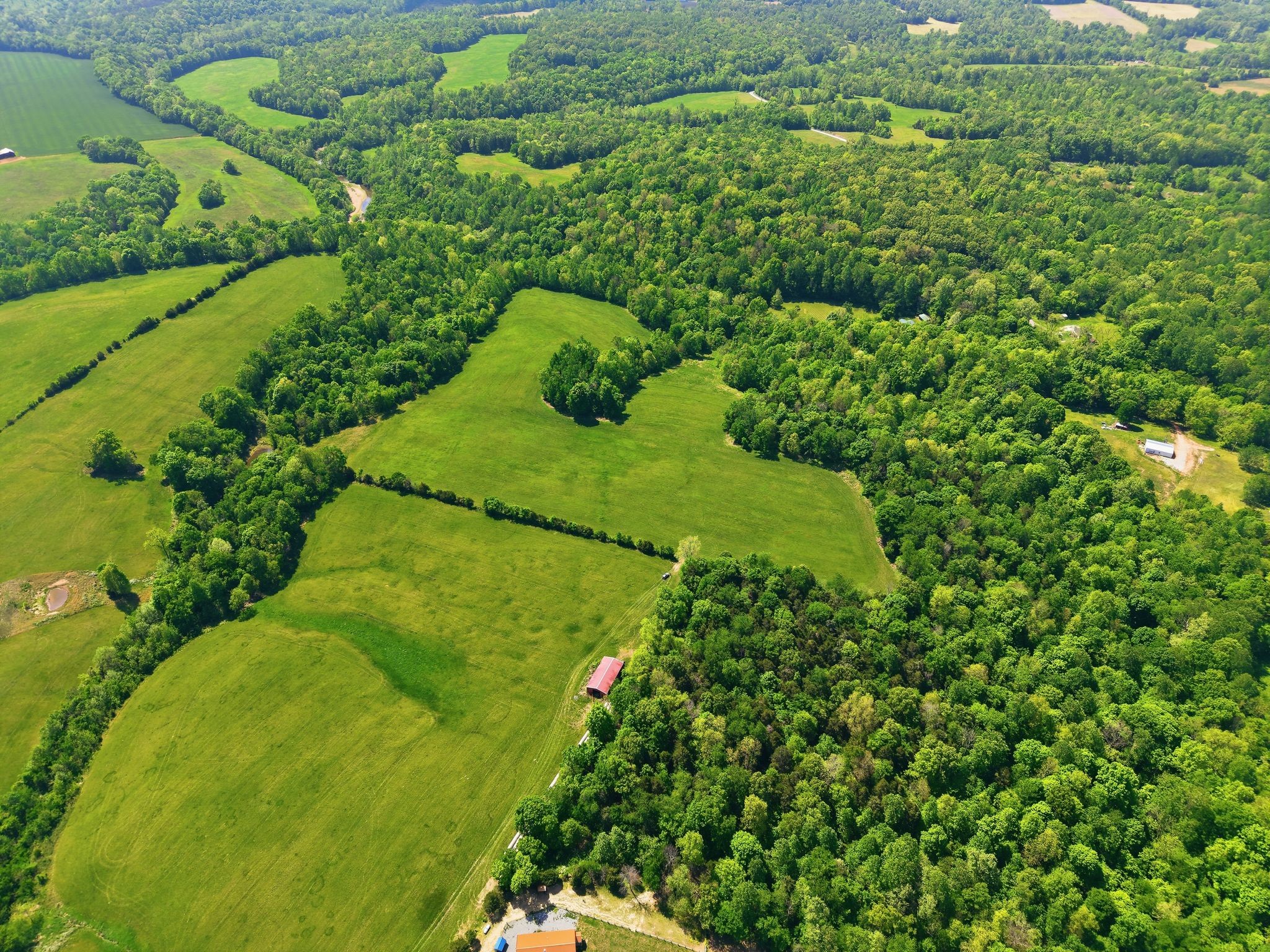 0 Freeman Loop Southside, TN 37171 - Photo 10 of 31